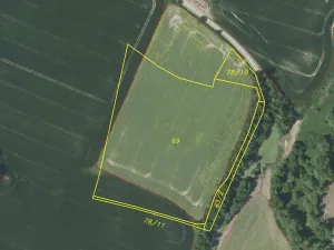 Prodej pole, Zvěstov, 51947 m2