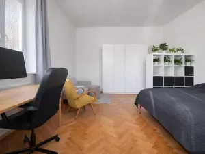 Pronájem bytu 1+1, Brno, Havlišova, 48 m2