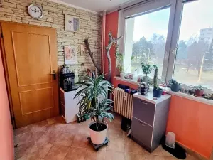 Prodej bytu 3+1, Jihlava, Okružní, 65 m2