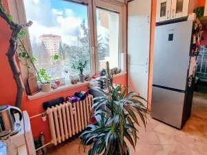 Prodej bytu 3+1, Jihlava, Okružní, 65 m2