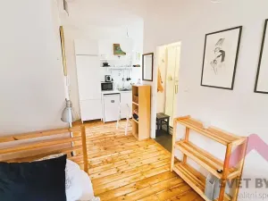 Pronájem bytu 1+kk, Praha - Libeň, Nad Rokoskou, 22 m2