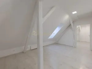 Prodej rodinného domu, Olomouc, Husitská, 210 m2