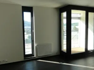 Pronájem bytu 1+kk, Brno, Hlinky, 44 m2