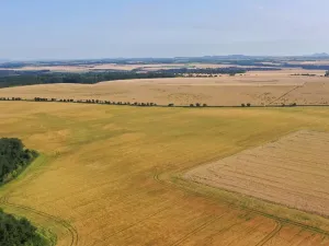 Prodej pole, Horní Slivno, 27919 m2