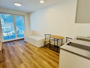 Pronájem bytu 1+kk, Brno, Bystrcká, 28 m2