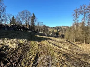 Prodej louky, Bozkov, 5815 m2