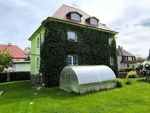 Prodej vícegeneračního domu, Aš, Květnová, 330 m2