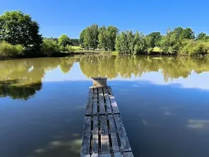 Prodej rybníku, Okrouhlá, 6048 m2