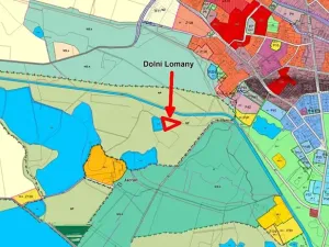 Prodej lesa, Františkovy Lázně, Jezerní, 2956 m2