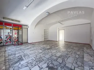 Prodej rodinného domu, Veselí nad Lužnicí, náměstí T. G. Masaryka, 570 m2