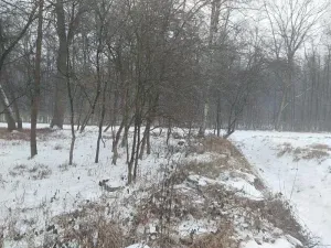 Prodej lesa, Pardubice, 1407 m2