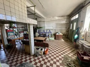 Prodej rodinného domu, Hýsly, 300 m2