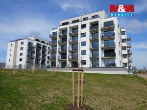 Pronájem bytu 1+kk, Opava - Předměstí, Císařského pluku, 37 m2