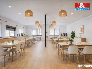 Prodej ubytování, Mšeno, 757 m2