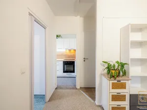 Prodej bytu 3+1, Brno, Štefáčkova, 68 m2