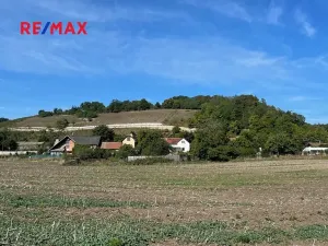 Prodej pozemku pro bydlení, Jeviněves, 7274 m2