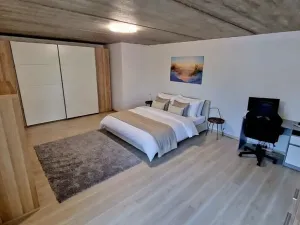 Prodej rodinného domu, Zajíčkov, 185 m2