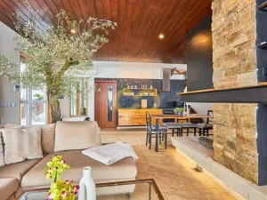 Prodej apartmánu, Černá v Pošumaví, 202 m2