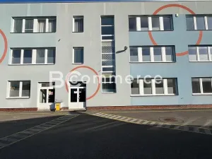 Pronájem skladu, Brno, Vídeňská, 758 m2