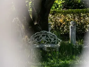 Prodej rodinného domu, Družec, V Zátiší, 289 m2