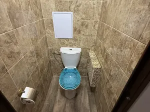 Pronájem bytu 4+1, Liberec, Dobiášova, 97 m2