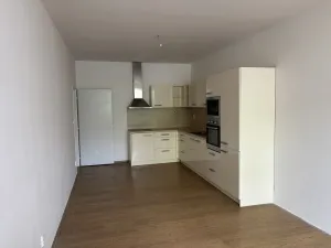 Pronájem bytu 2+kk, Brno, Cejl, 61 m2