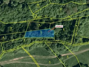 Dražba lesa, Hovězí, 788 m2