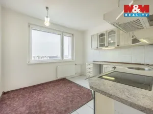 Prodej bytu 2+1, Slaný, Vikova, 58 m2