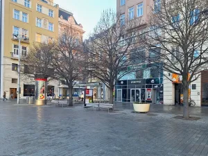 Pronájem obchodního prostoru, Brno, náměstí Svobody, 263 m2