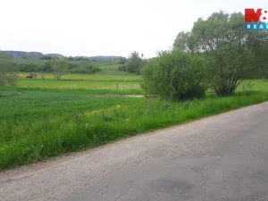 Prodej pole, Zvěstov - Libouň, 12795 m2