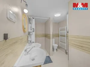 Prodej chalupy, Bartošovice v Orlických horách, 375 m2