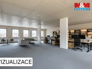 Pronájem kanceláře, Domažlice - Město, 244 m2