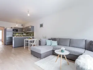 Pronájem bytu 4+kk, Praha - Žižkov, Olšanská, 107 m2