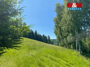 Prodej pole, Spělkov, 25164 m2