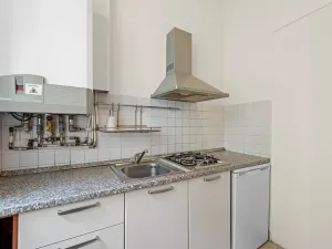 Prodej bytu 2+1, Praha - Žižkov, Bořivojova, 77 m2