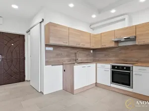 Pronájem bytu 1+1, Brno, Vavřinecká, 35 m2