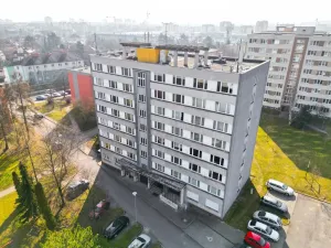 Prodej bytu 1+1, Plzeň - Jižní Předměstí, Čermákova, 39 m2