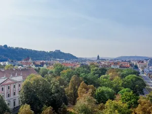 Pronájem obchodního prostoru, Praha - Karlín, 77 m2