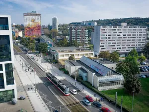 Pronájem obchodního prostoru, Praha - Karlín, 77 m2