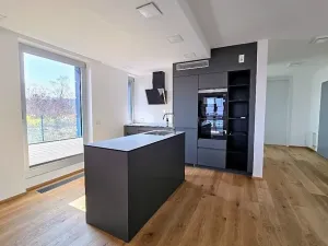 Pronájem bytu 3+kk, Praha - Smíchov, U Dívčích hradů, 123 m2