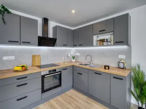 Pronájem bytu 3+kk, Most, Františka Malíka, 65 m2