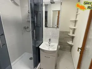 Pronájem bytu 1+1, Ostrava, Písečná, 35 m2