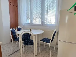 Pronájem bytu 2+1, Bor, Přimdská, 67 m2