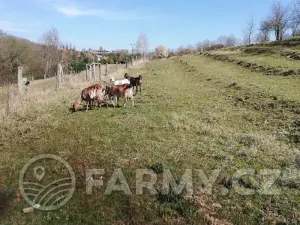 Prodej zemědělského objektu, Řepín, 1029 m2