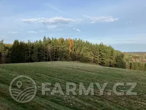 Prodej pole, Planá, 21513 m2