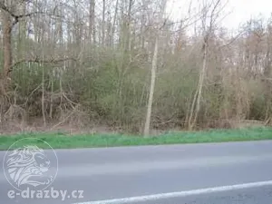 Dražba pozemku, Valtrovice, 9628 m2