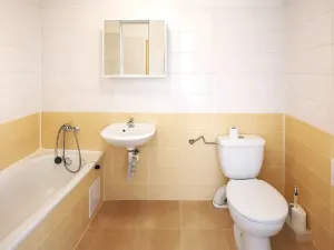 Pronájem bytu 1+1, Brno, Husovická, 36 m2