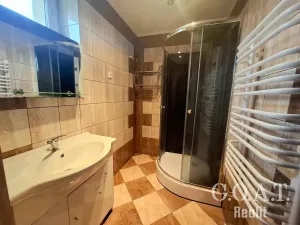 Prodej vícegeneračního domu, Zbůch, Polní, 249 m2