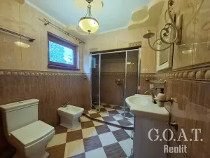 Prodej vícegeneračního domu, Zbůch, Polní, 249 m2