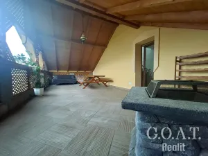 Prodej vícegeneračního domu, Zbůch, Polní, 249 m2